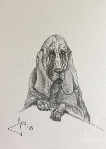 Bloodhound