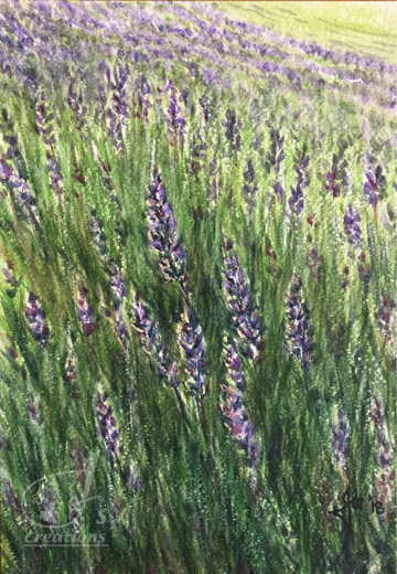 Lavender 